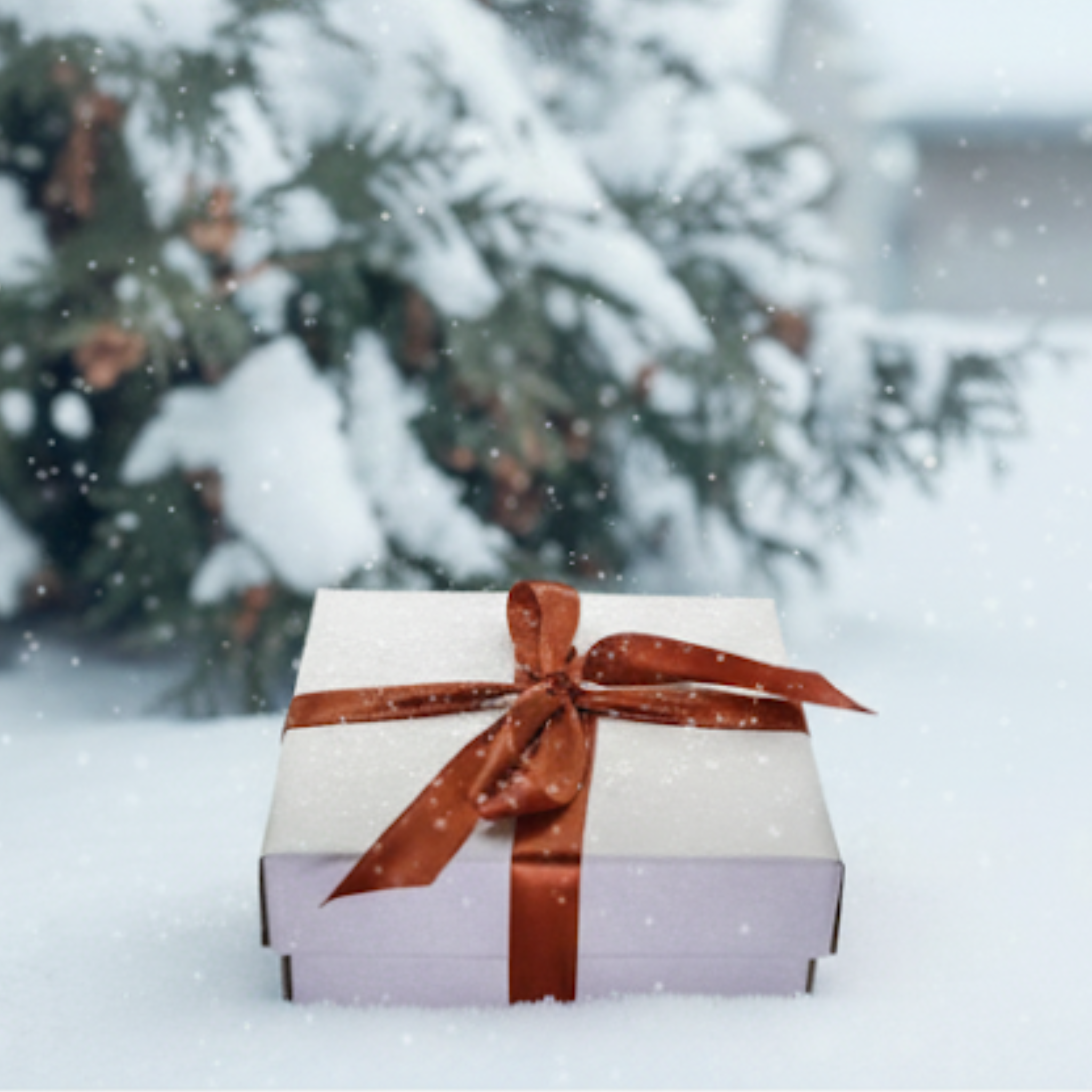 Coffret Cocooning & Vitalité