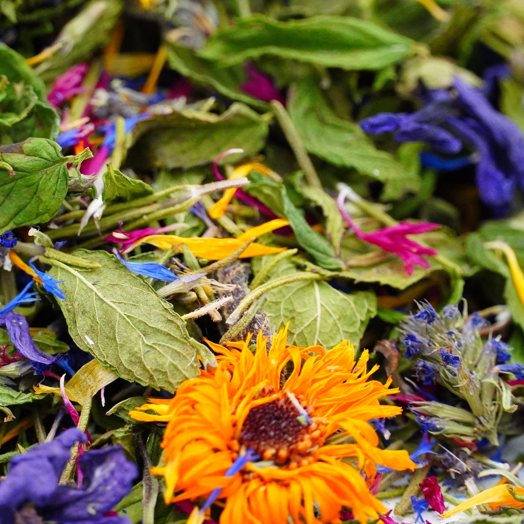 Tisane bio Racines Radieuses